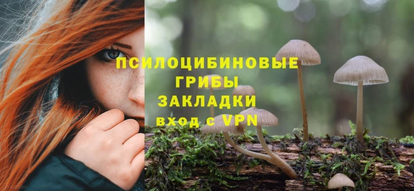 таблы Алзамай